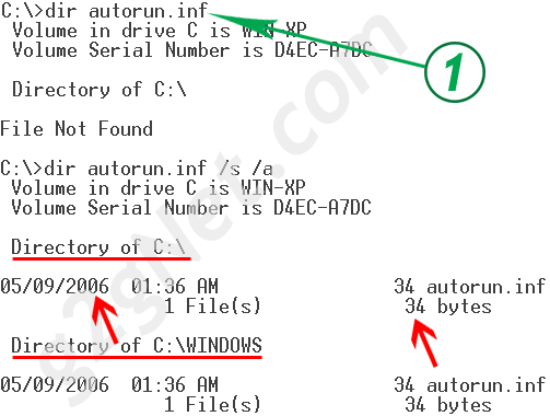 /s (Sub Directory) ค้นหาทุกๆ Sub directory ส่วน /a (Attribute) คือ แสดงไฟล์ที่ถูกซ่อนออกมาให้หมด